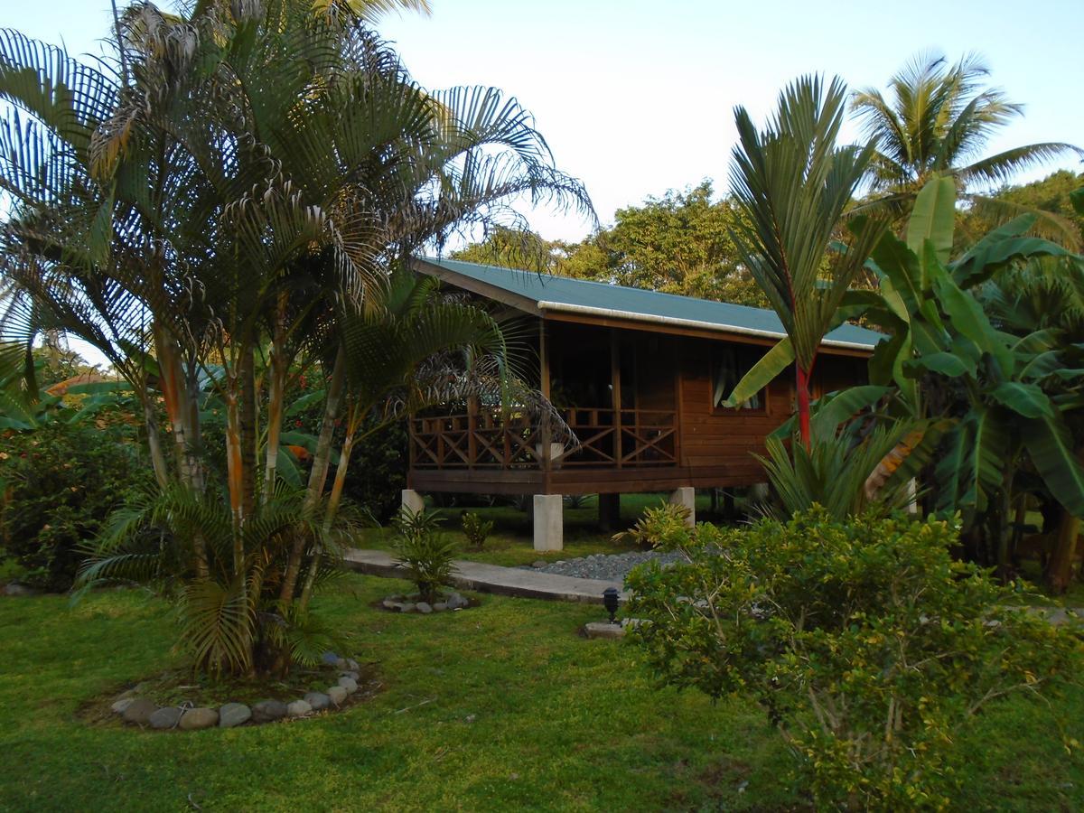 J And H Garden Cabinas Bocas Town Ngoại thất bức ảnh