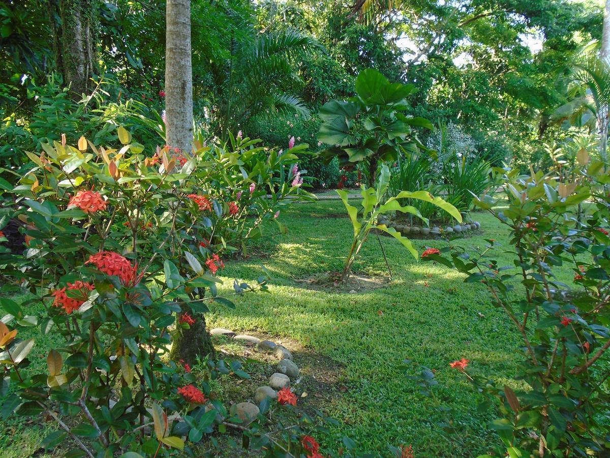 J And H Garden Cabinas Bocas Town Ngoại thất bức ảnh